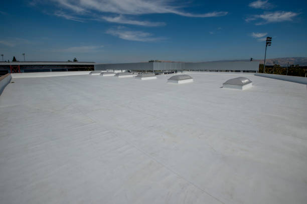 Best Sheet Metal Roofing  in Little Falls, MN