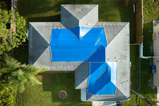 Best Roof Coating and Sealing  in Little Falls, MN