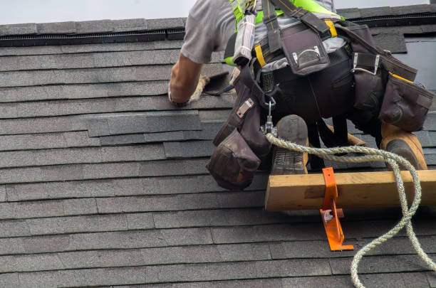 Fast & Reliable Emergency Roof Repairs in Little Falls, MN